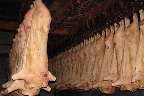 Производство свинины в 2021 году продолжит увеличиваться