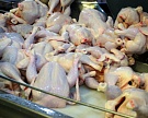 Мясо птицы из России начнет поставляться в Китай осенью