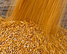Потенциал экспорта зерна в Турцию — 1,6 млн т