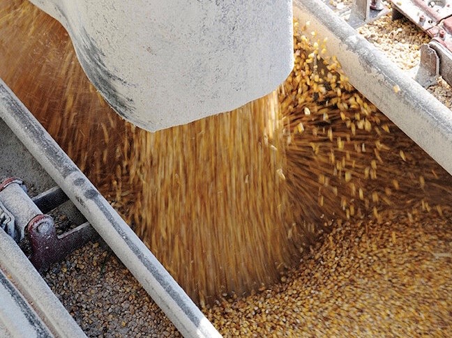 Пошлины на экспорт зерна с новой ценой отсечения начнут действовать с 7 июня