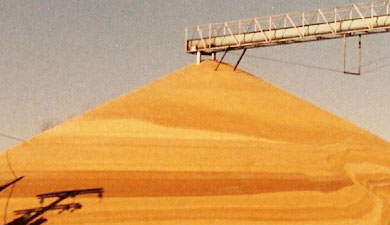Запасы пшеницы снизились на 23% — до 14 млн т