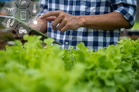 АПК может увеличить прибыль с внедрением искусственного интеллекта