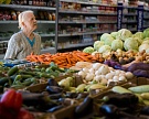 Производство продукции сельского хозяйства выросло за полгода на 2,6%