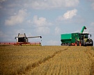 IGC повысил прогноз мирового производства зерна до 2077 млн т