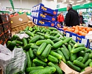 В Россию ежегодно ввозится контрафактных овощей на 1 млрд рублей