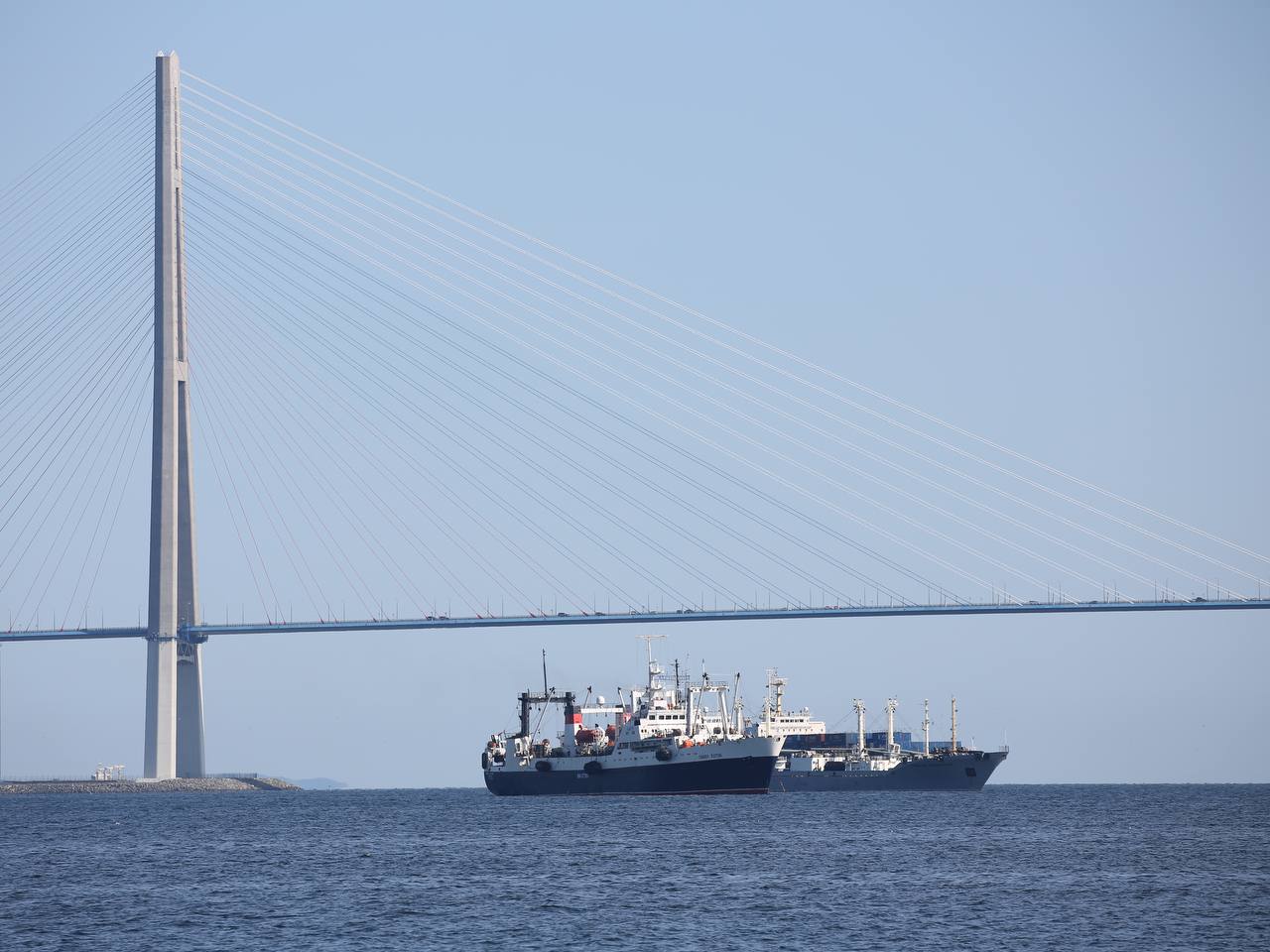 Экспорт продукции АПК снизился на 11,1%