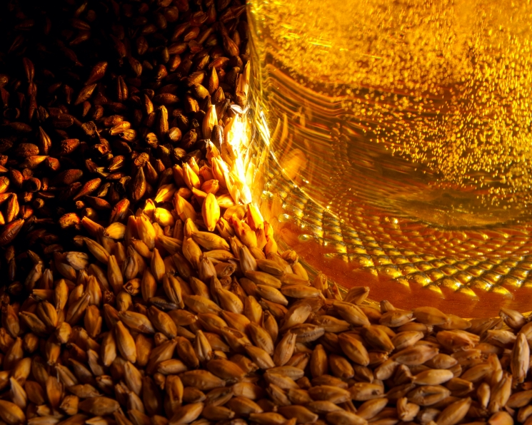 Отягощенный пивом. Специфика российского рынка пивоваренного ячменя — Журнал «Агроинвестор» – Агроинвестор
