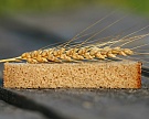 Росстат: ежегодные потери зерна превышают 1 млн тонн