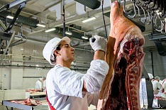 Экспорт свинины вырастет на 45%