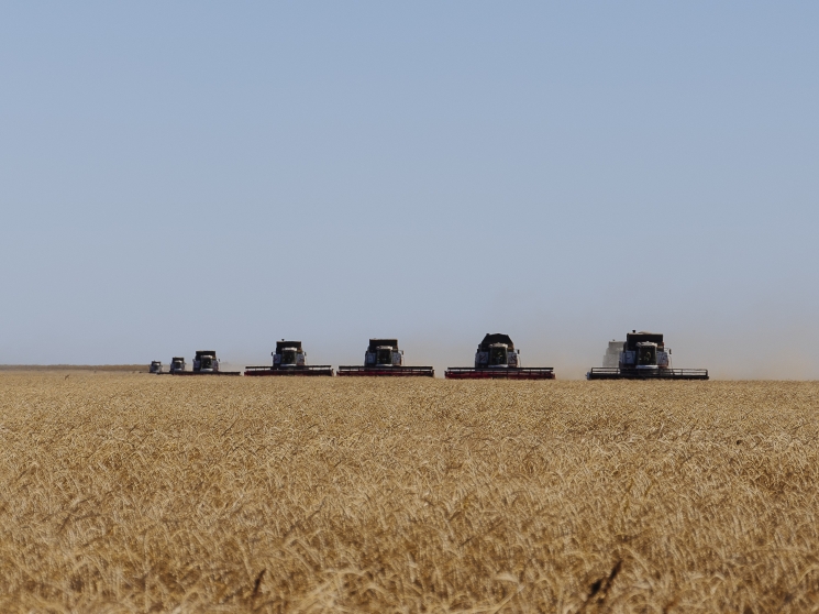 Эффект высокой базы. К чему ведет сворачивание масштабной поддержки АПК