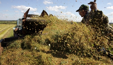 «ОГО» вырастит лен и рапс