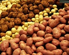 Россельхознадзор разрешил ввоз семенного картофеля из трех стран Евросоюза