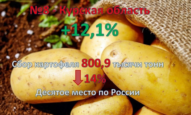 8. Курская область