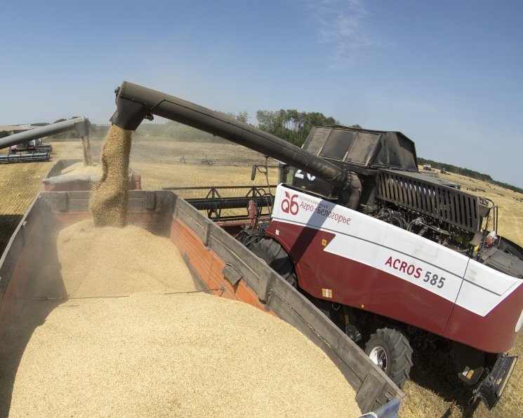 Росстат уточнил данные по урожаю зерна