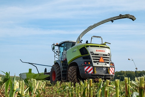 Продажи комбайнов с завода Claas в Краснодаре в 2021 году могут вырасти на 40%