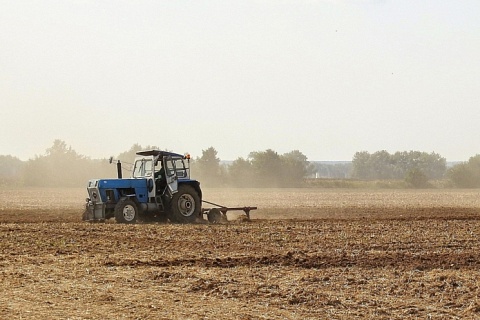 «СовЭкон» повысил прогноз урожая пшеницы на 1,5 млн тонн
