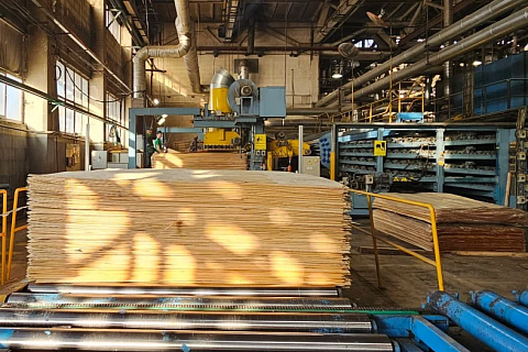 Побочные продукты фанерных комбинатов можно использовать для рекультивации земель