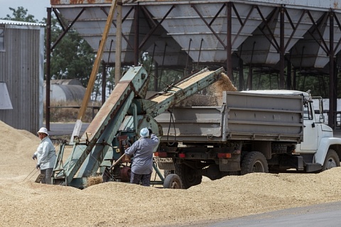 Минсельхоз продолжит использовать экспортные квоты на зерно