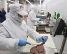 «Черкизово» увеличила продажи свинины на 13%