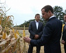 Дмитрий Медведев: «Госполитика в агросекторе эффективна»