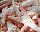 «Русское Зерно Уфа» планирует поставлять мясо птицы в Китай