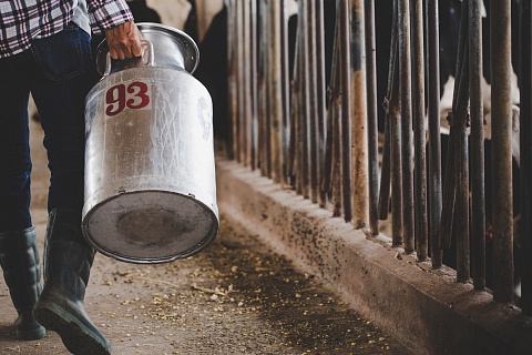 «Синара» построит молочную ферму в Свердловской области