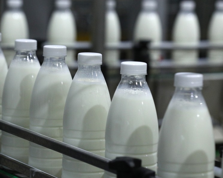 Каким будет 2022 год для молочного сектора?