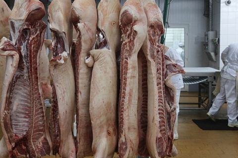 В 2022 году производство свинины увеличилось на 5%