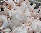 Производство мяса птицы выросло на 17%