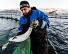 Поставки российской рыбы на внутренний рынок увеличились на 32%