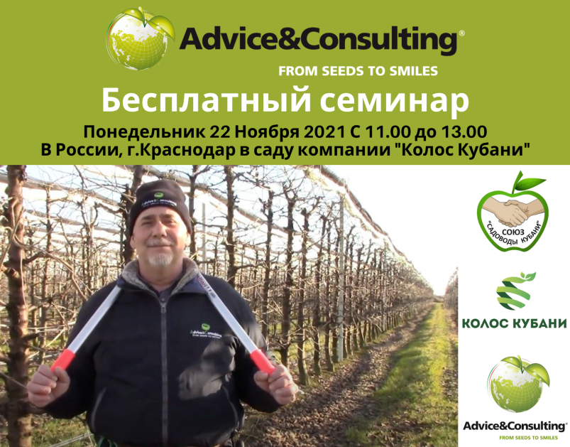 Обрезка яблони — это искусство! Рекомендации Advice&Consulting для достижения высоких результатов