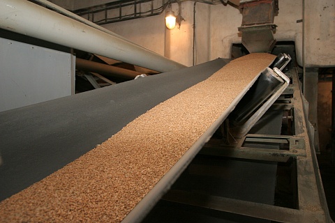 «Татнефть» может построить завод по глубокой переработке зерна в Воронеже