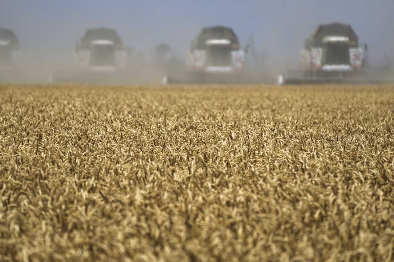 Низкие цены на зерно не позволяют аграриям развиваться