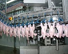 Топ-3 птицеводов в 2013 году произвели более 1 млн тонн мяса