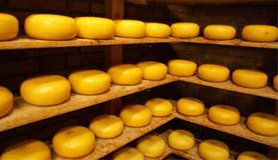 «Союзмолоко»: необходимо ограничить поставки сыра из Украины