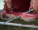 Экс-министр сельского хозяйства Италии считает санкции «свинством»