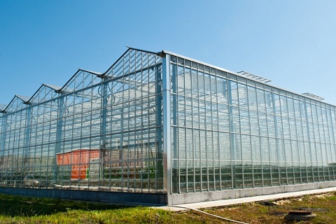 Модернизация тепличного комплекса «Южный» завершится в этом году
