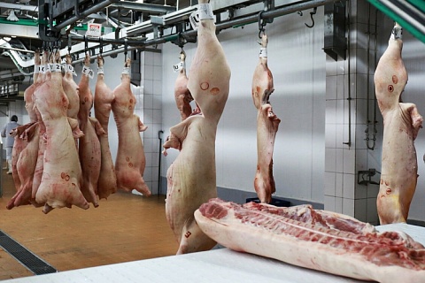 «Агро-Белогорье» увеличило отгрузку мяса в полутушах на 45%
