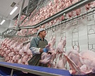 Импорт мяса индейки вырос на 58%
