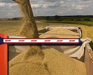 Россельхознадзор не допустил к экспорту 300 тыс. т зерна