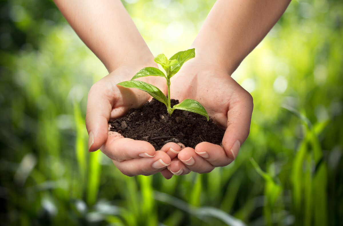 Видеозапись бесплатного вебинара «Сохранение экологических функций почв для реализации генетического потенциала сельхозкультур»