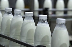 Минсельхоз прогнозирует рост молочного экспорта втрое к 2024 году