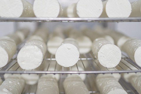 Овечий сыр в промышленных масштабах. Компания «Рота-Агро» инвестирует в строительство нового завода 2 млрд руб.