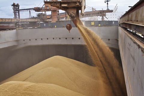 Минсельхоз может повысить квоту на экспорт зерна до 17,5 млн тонн