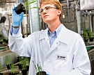 BASF купит долю бизнеса Bayer по производству гербицидов и семян