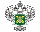 В России в феврале зафиксировано 11 вспышек АЧС