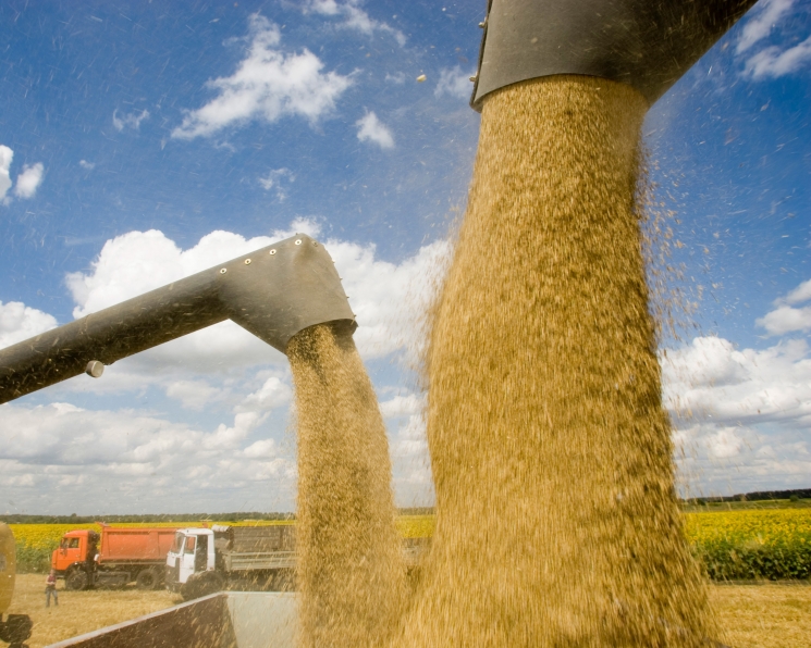 Минсельхоз США понизил прогноз экспорта пшеницы из России