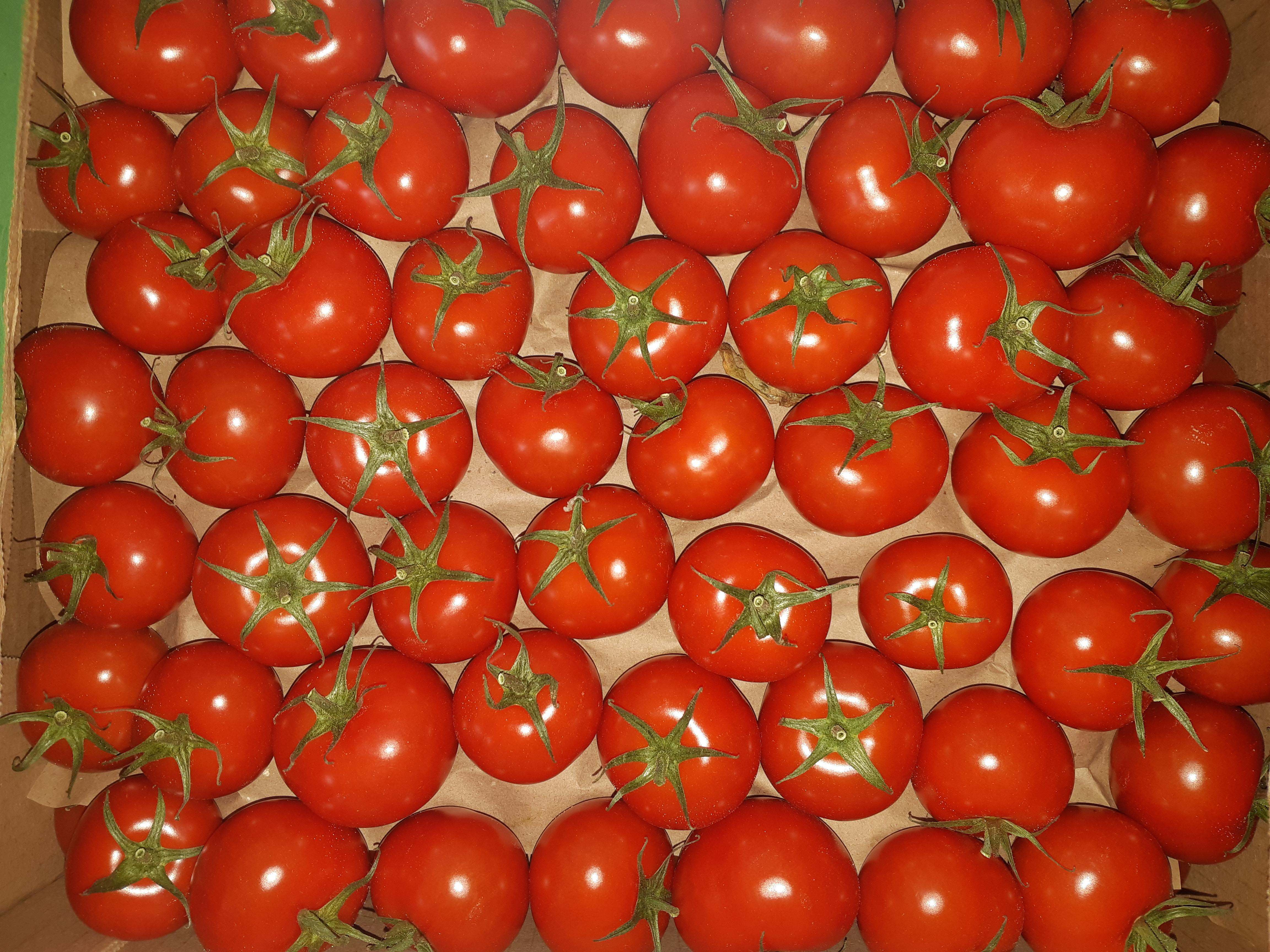 Плодоовощной союз предлагает расширить географию господдержки тепличной отрасли