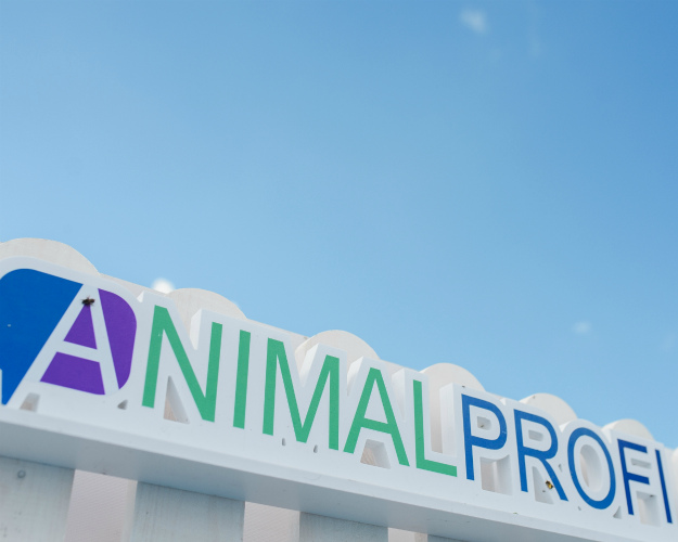 Повышение квалификации на Форуме ANIMALPROFI