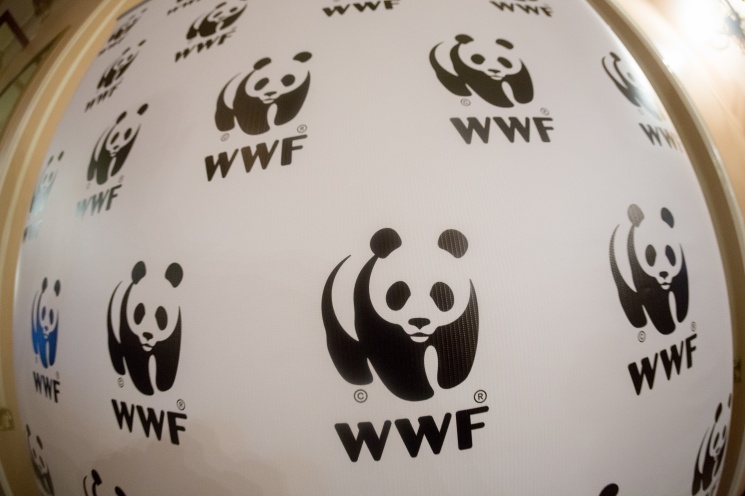 Партнерский материал. Всемирный фонд дикой природы (WWF) подвел итоги первого совместного проекта с МКБ